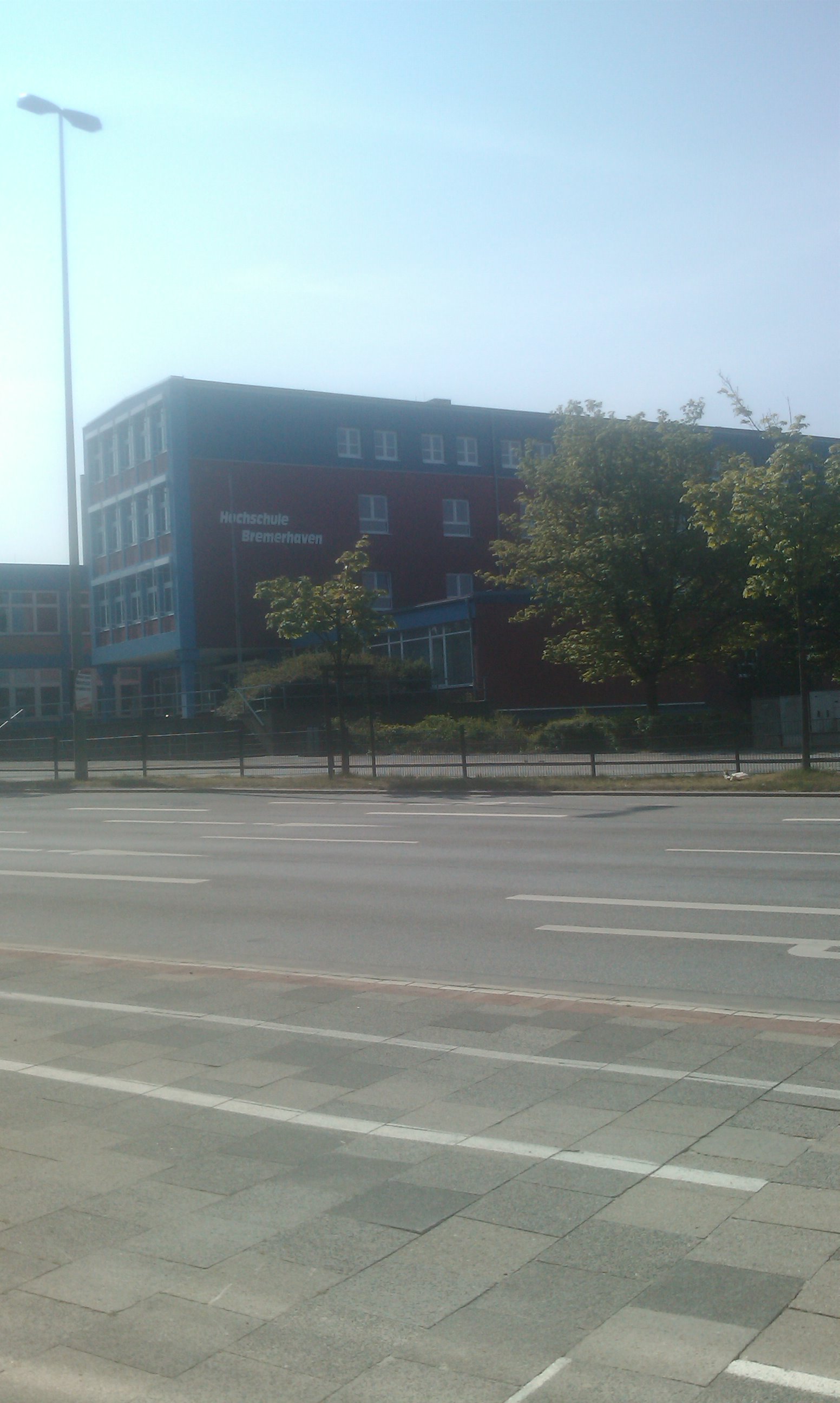 IMAG0050.jpg