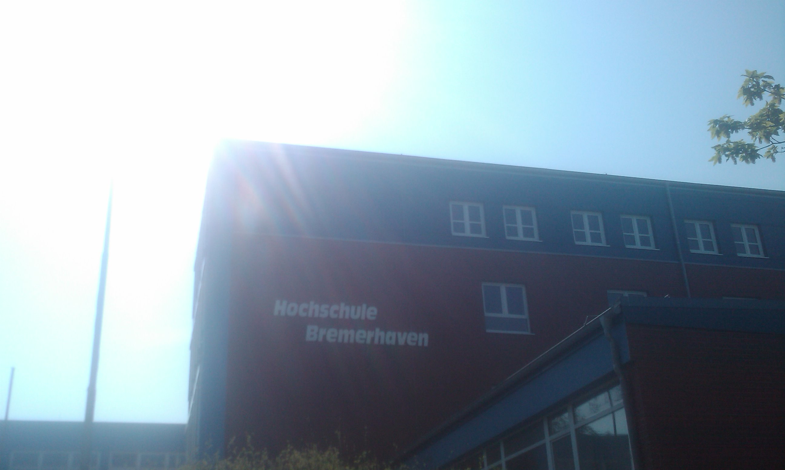 IMAG0056.jpg